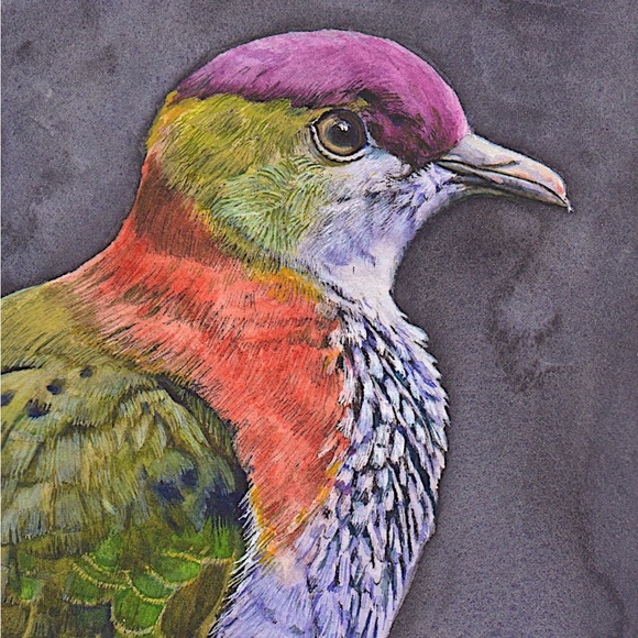 Hi, my name is Ilana - Picture 4 of 4